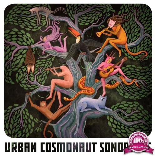 Urban Cosmonaut Sonorities (2019)