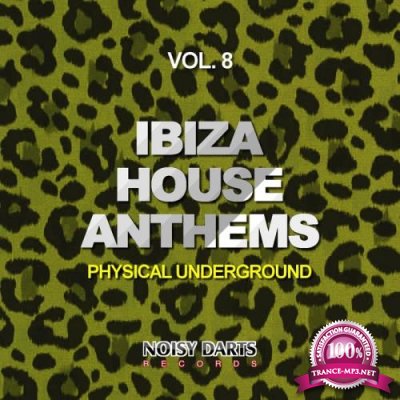Ibiza House Anthems, Vol. 8 (Physical Underground) (2019)