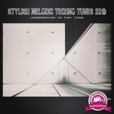 Stylish Melodic Techno Tunes 2019 Underground as They Come (2019)