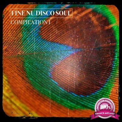 Fine Nu Disco Soul Groove (2019)