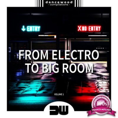 From Electro To Big Room, Vol. 1 (2019)