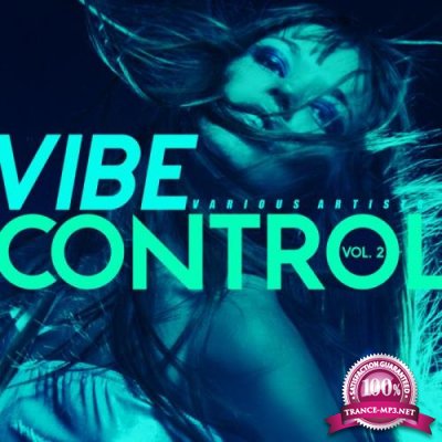 Vibe Control, Vol. 2 (2019)
