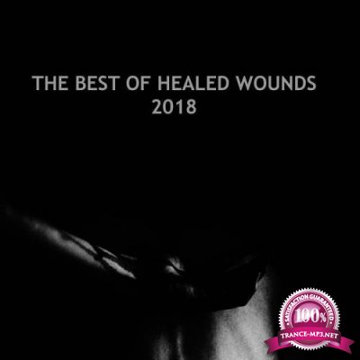 Modular Phaze - The Best Of Healed Wounds 2018 (2019) Flac