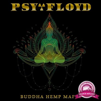 Psy-Floyd - Lsd Cat (2019)