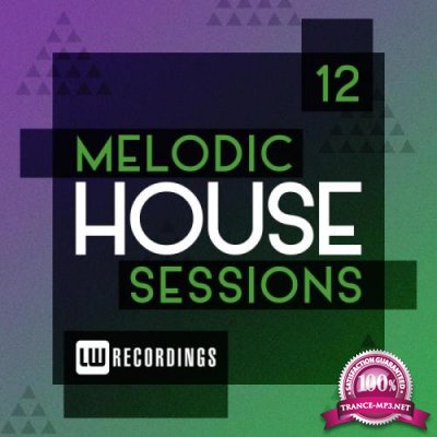 Melodic House Sessions, Vol. 12 (2019)