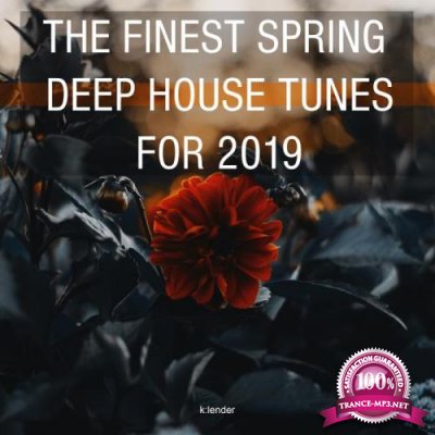 The Finest Deep House Tunes for 2019 (2019)