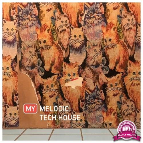 My Melodic Tech House (2019)