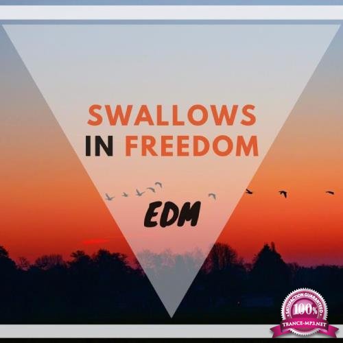 Swallows In Freedom Edm (2019)
