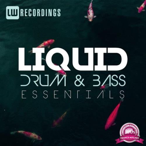 Liquid Drum & Bass Essentials, Vol. 13 (2019)