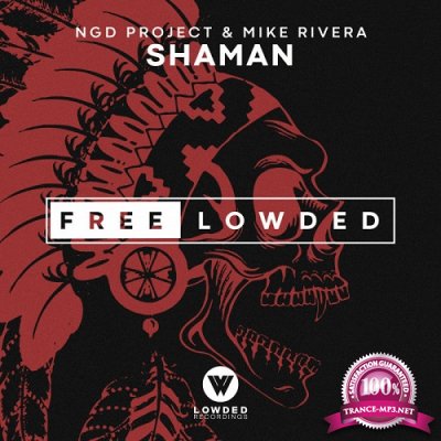 NGD Project & Mike Rivera - Shaman (Single) (2019)
