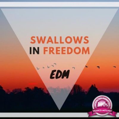 Swallows In Freedom Edm (2019)