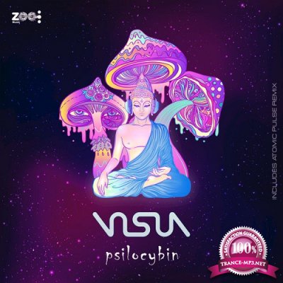 Visua - Psilocybin Chapter II (Single) (2019)