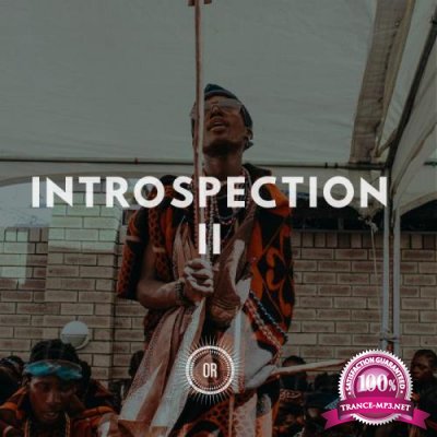 Introspection Part II (2019)
