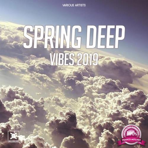 Spring Deep Vibes 2019 (2019)