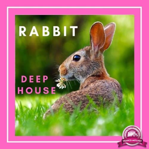 Sifare Dance Chillout - Rabbit Deep House (2019)
