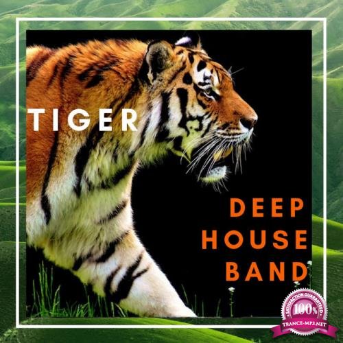 Tiger Deep House Band (2019)