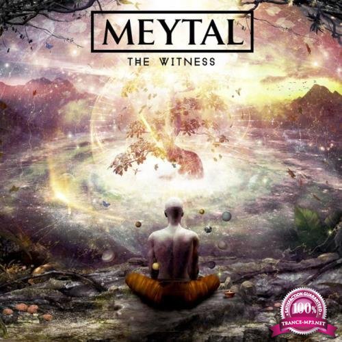 MEYTAL - The Witness (2019)