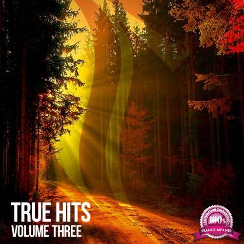 Suanda True - True Hits Vol 3 (2019)