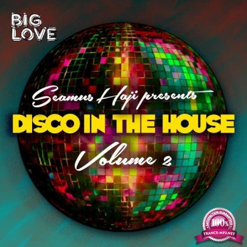 Seamus Haji Presents Disco In The House, Vol. 2 (2019)