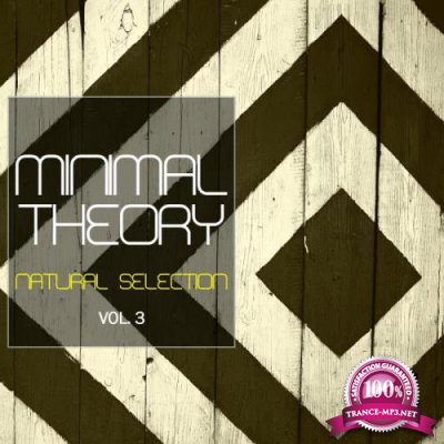 Minimal Theory, Vol. 3 (Natural Selection) (2019)