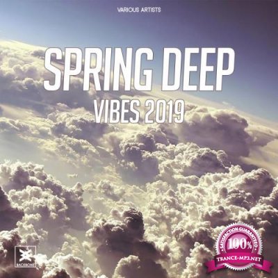 Spring Deep Vibes 2019 (2019)