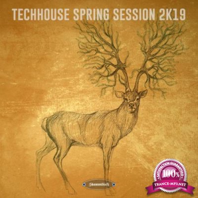 Techhouse Spring Session 2K19 (2019)