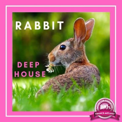 Sifare Dance Chillout - Rabbit Deep House (2019)