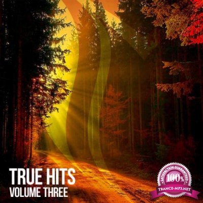 Suanda True - True Hits Vol 3 (2019)