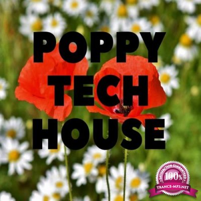 Poppy Tech House (2019)