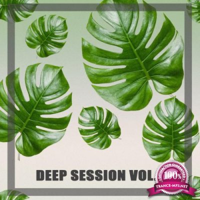 Mystery Train Recordings: Deep Session, Vol. 1 (2019) FLAC