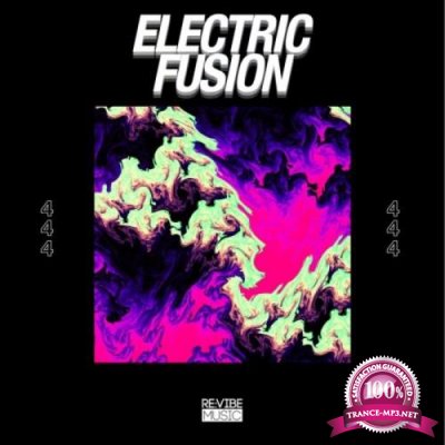Electric Fusion, Vol. 4 (2019)