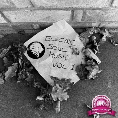 Electric Soul Music Vol. 1 (2019) FLAC