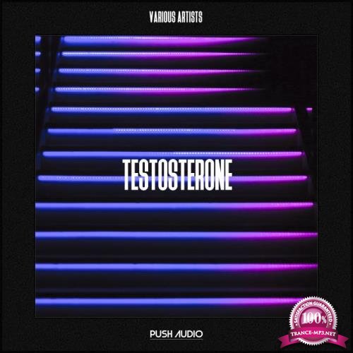 PUSH AUDIO - Testosterone (2019)