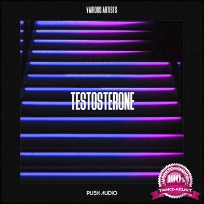 PUSH AUDIO - Testosterone (2019)