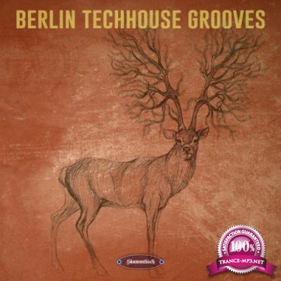 Berlin Techhouse Grooves (2019)