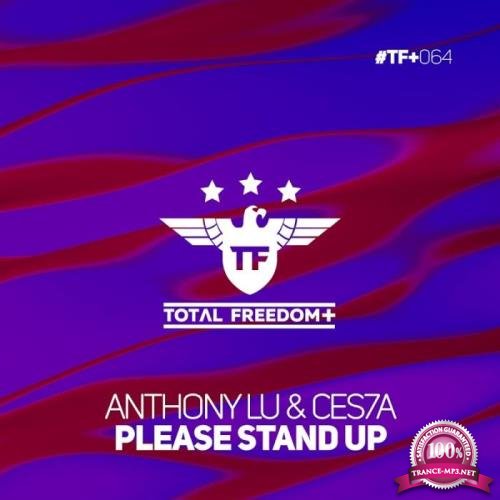 Anthony Lu - Please Stand Up (2019)