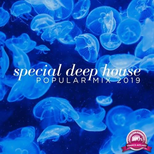 Special Deep House Popular Mix 2019 (2019)