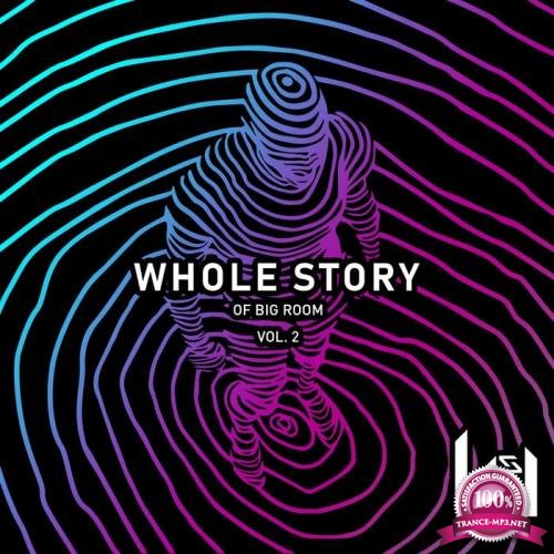 Whole Story Of Big Room Vol. 2 (2019)