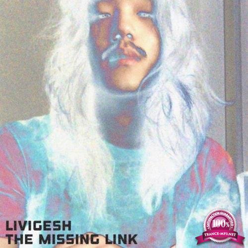 Livigesh - The Missing Link (2019)