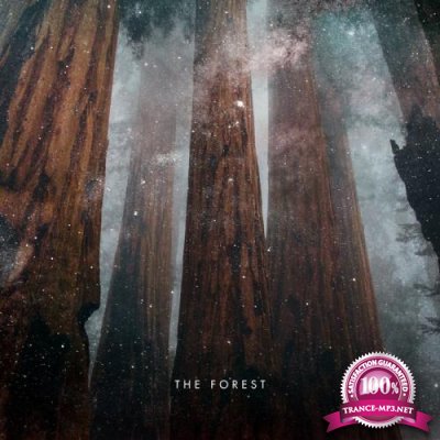 Nopi - The Forest (2019)