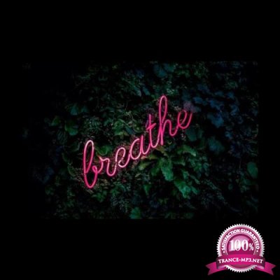 The Audible Doctor - Breathe. (2019)