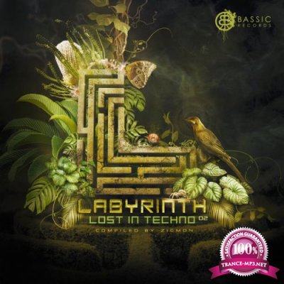 Labyrinth, Lost In Techno 02 - Compiled By ZigMon (2019)