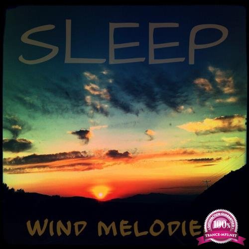 Reina Jayne Juno - Sleep Wind Melodies (2019)