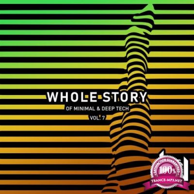 Whole Story Of Minimal and Deep Tech, Vol. 7 (2019)