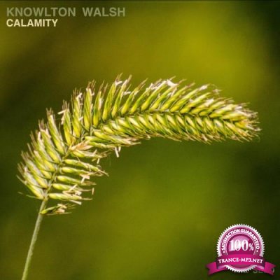 Knowlton Walsh - Calamity (2019)
