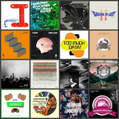 Beatport Music Releases Pack 1197 (2019)