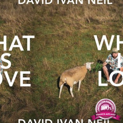 David Ivan Neil - What Is Love (2019)