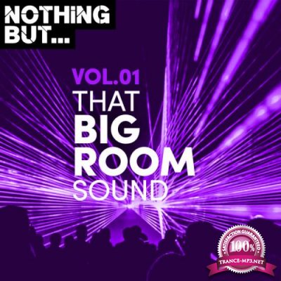 Nothing But... That Big Room Sound Vol 01 (2019)