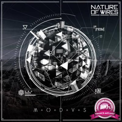 Nature of Wires - Modus (2019)