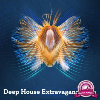 Deep House Extravaganza, Vol. 13 (2019)